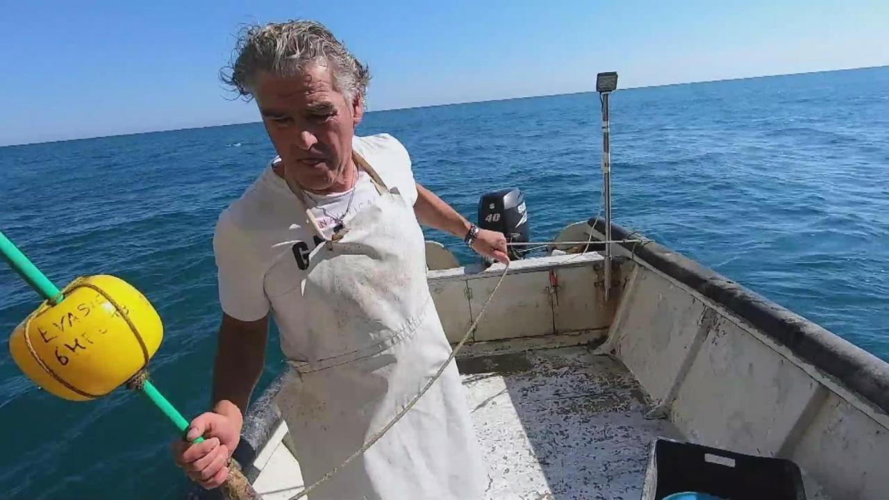 Dimore Di Portadibasso Peschici Eksteriør billede